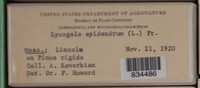 Image Associated With the Occurence